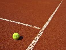 Scout焦点对战，德约科维奇与80激战G2分钟，反败为胜胜负难料！引发球迷热议